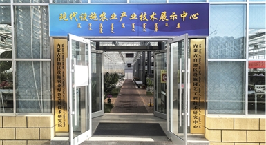 自治區(qū)綠色優(yōu)質(zhì)果蔬展銷中心